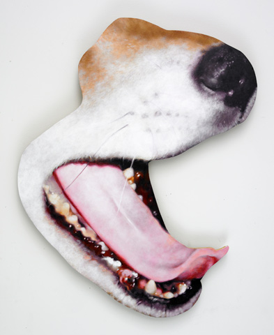 ChrisOh_Dog